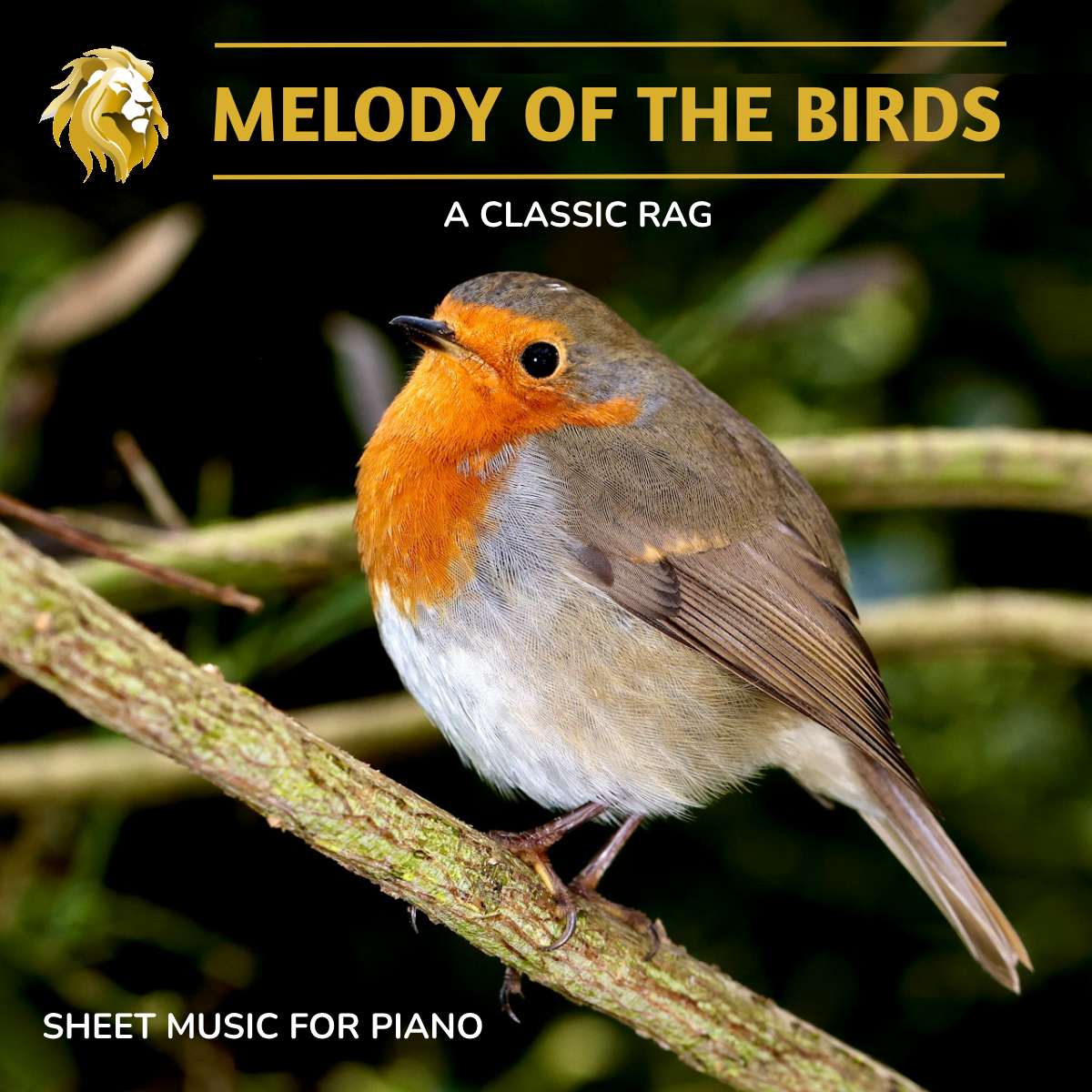 Melody of the birds