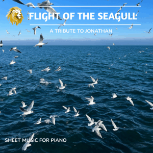 Flight of the seagull
